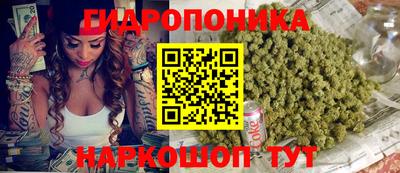 кокс Обь