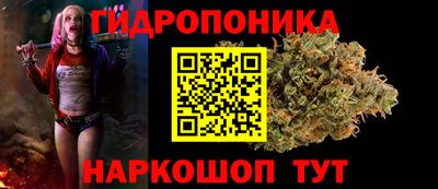 МДПВ Обнинск