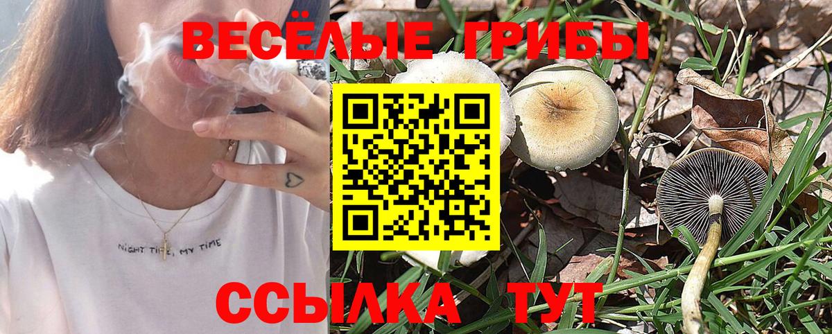 Сыктывкар  Псилоцибиновые грибы мухоморы  Галлюциногенные грибы Cubensis  Вход с VPN 